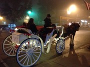 horse drawn carriage in the fog